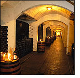 Wine Cellar, Cape Winelands